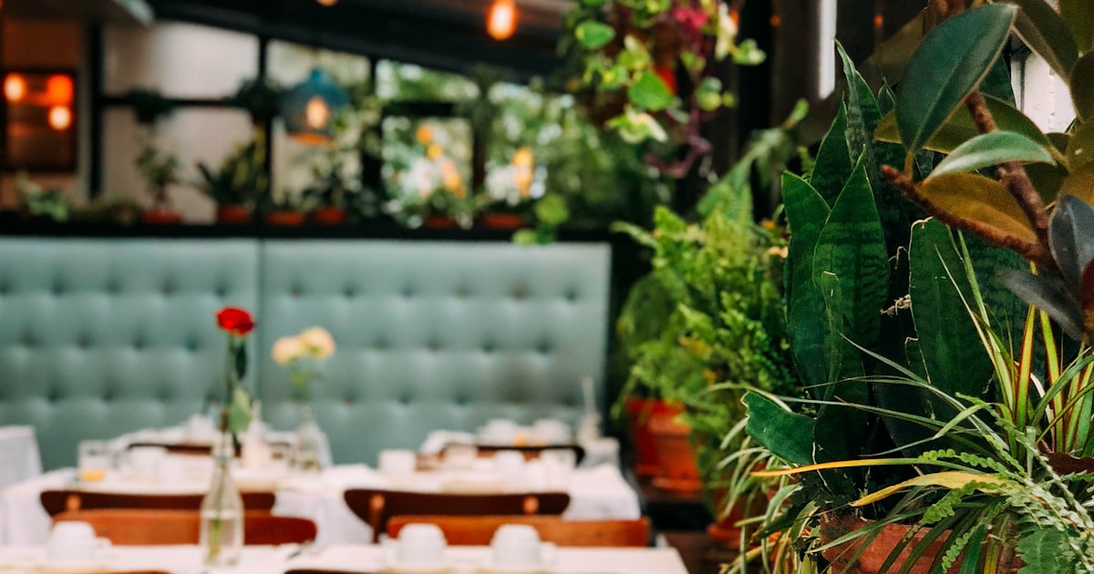Amex Platinum Resy Dining Credit: Q2 Expires June 30. Here’s How to Use the Full $100 in Q3 2026
