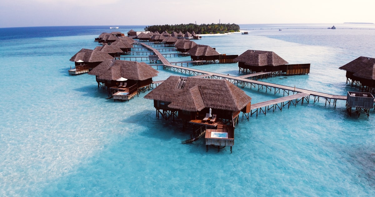 Bilt Rent Day July 2026: Up to 200% Transfer Bonus to Hilton Honors: Who Should Transfer and Who Shouldn’t